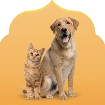 الحيوان والطيور والاسماك